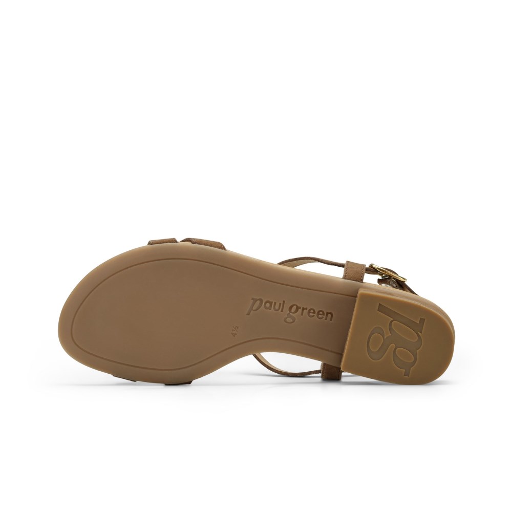 Paul Green Damen-Sandalen Donna mit T-Riemen Nussfarbenes Wildleder